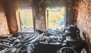 При крупном пожаре на Алтае погиб человек