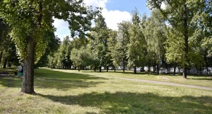В Барнауле благоустроят бульвар на улице Аванесова