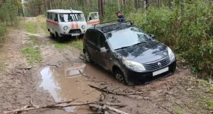 Грибник застрял в лесу Алтайского края.