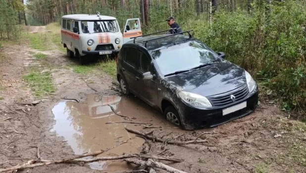 Грибник застрял в лесу Алтайского края.