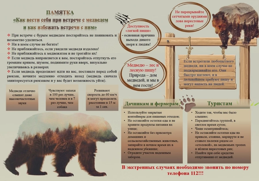 Памятка про медведей.