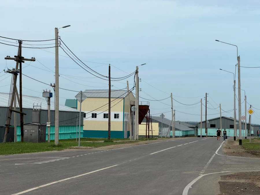 Подъездная дорога к животноводческому комплексу в селе Малахово Косихинского района.