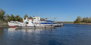На берегу старого русла Оби у Барнаула.