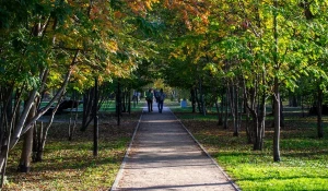Бабье лето в Изумрудном парке.