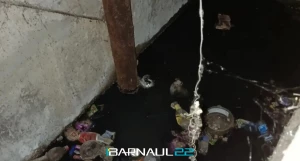 Отходы в подвале многоэтажки Барнаула.