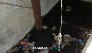 Отходы в подвале многоэтажки Барнаула.
