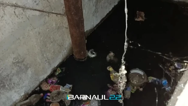 Отходы в подвале многоэтажки Барнаула.