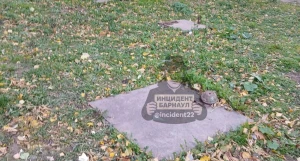 В Барнауле возле мусорных контейнеров проваливаются погреба