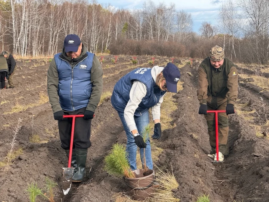 Акция «Сохраним лес» в селе Черемное Павловского района