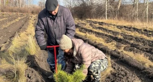 Акция «Сохраним лес» в селе Черемное Павловского района