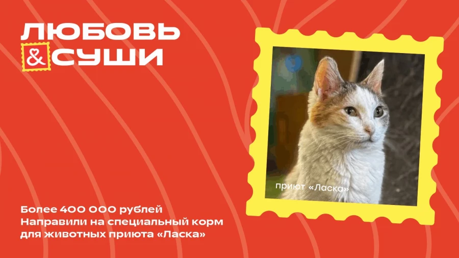Новый образ «Любовь и суши»: яркие послания, знакомые роллы, новая упаковка.