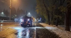 Обработка дорог от голодеда в Барнауле
