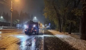 Обработка дорог от голодеда в Барнауле
