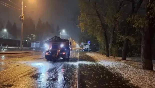 Обработка дорог от голодеда в Барнауле
