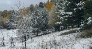 У Телецкого озера.