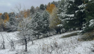 У Телецкого озера.