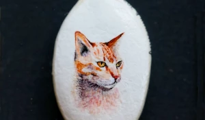 Кот на тыквенном семечке.
