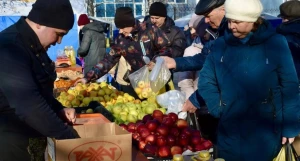 Продовольственная ярмарка в Барнауле.