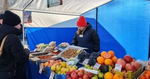 Продовольственная ярмарка в Барнауле.