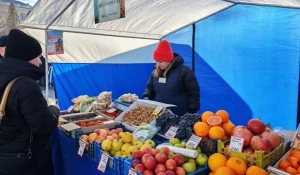 Продовольственная ярмарка в Барнауле.