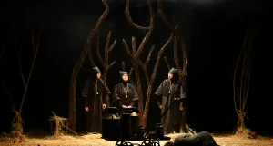 Открытие IV фестиваля театров кукол «Зазеркалье».